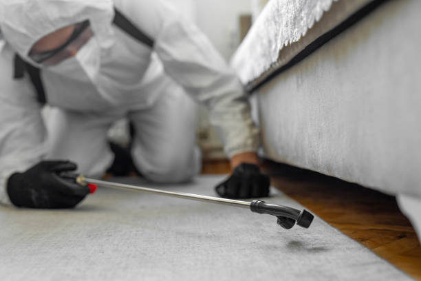 Professional Bed Bug Control technician working in Central City, IL