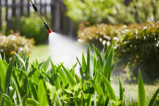 24/7 Emergency Bed Bug Control experts in Central City, IL