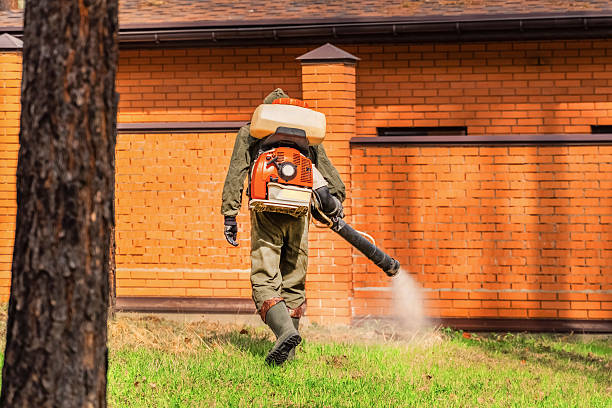 Top rated local Bed Bug Control specialists in Central City, IL